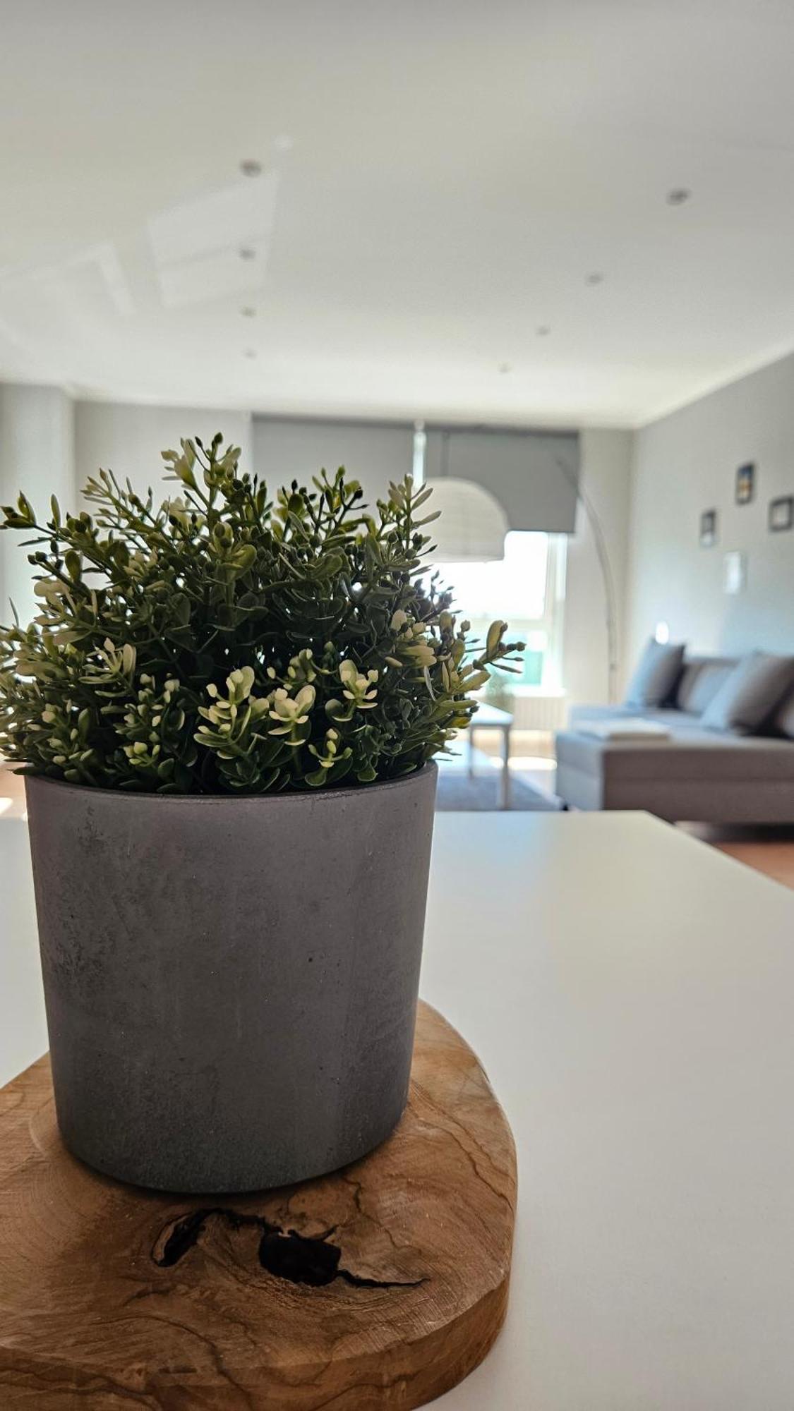 Apartment L19 One - Modern, Geraeumig In Ruhiger Lage